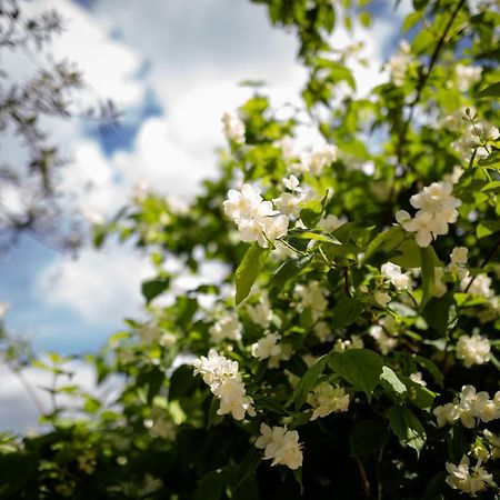 לינה וארוחת בוקר פימונטה Il Giardino מראה חיצוני תמונה